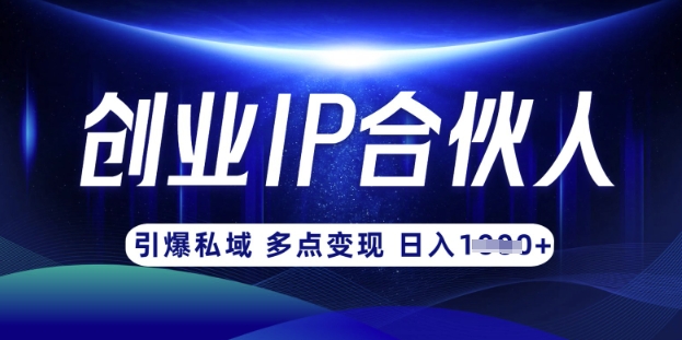 云帆·创业ip合伙人打造3.0，从0到1教你做网创，实现月入过W - 冒泡网项目