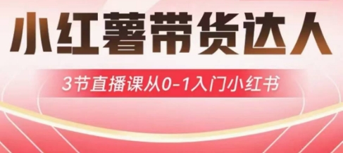 小红薯达人带货启航计划，3节直播课从0-1入门小红书 - 冒泡网项目