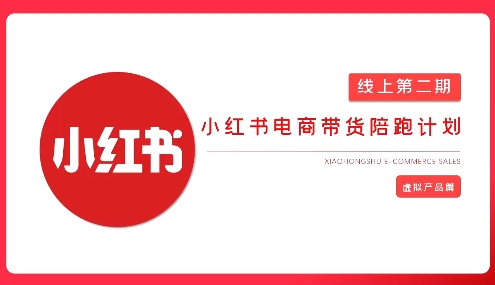 2025小红书虚拟电商实战课，从0到1打造无货源店铺，AI+爆款笔记轻松变现 - 冒泡网项目