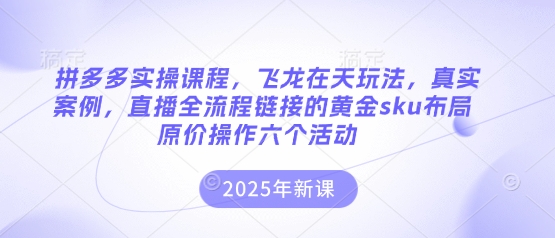 拼多多实操课程，飞龙在天玩法，真实案例，直播全流程链接的黄金sku布局原价操作六个活动 - 冒泡网项目