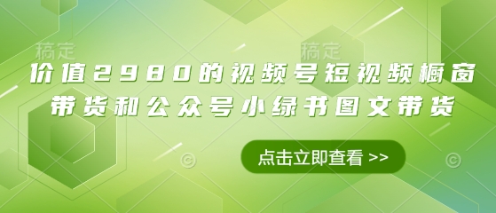 价值2980的视频号短视频橱窗带货和公众号小绿书图文带货 - 冒泡网项目