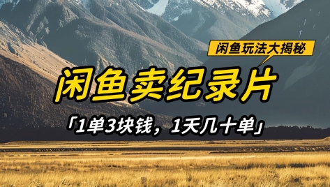 闲鱼卖纪录片1单3块钱，1天几十单，项目稳定有潜力 - 冒泡网项目