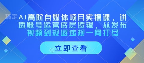AI高阶自媒体项目实操课，讲透账号运营底层逻辑，从发布视频到规避违规一网打尽 - 冒泡网项目
