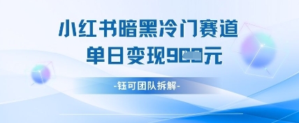 小红书冷门”暗黑”赛道，单日收益多张 - 冒泡网项目