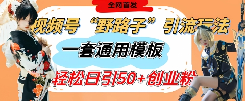 视频号“野路子”玩法，评论区疯狂截流，一套模板单日单号引流50+创业粉 - 冒泡网项目