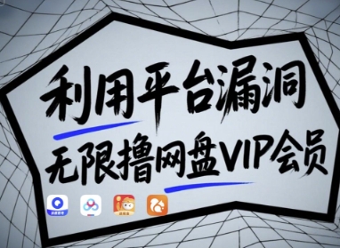 利用平台漏洞，无限撸网盘VIP会员，用户亲测有效!【漏洞原理+操作演示】 - 冒泡网项目
