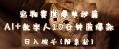 宠物赛道爆单秘籍：AI+数字人10分钟造爆款，日入1k - 冒泡网项目