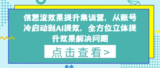 信息流效果提升集训营，从账号冷启动到AI提效，全方位立体提升效果解决问题 - 冒泡网项目
