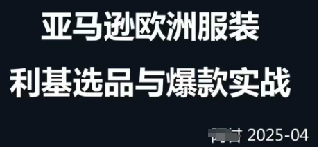 跨境电商选品案例24-25年，聚焦跨境电商选品策略与运营优化，助力卖家挖掘蓝海市场 - 冒泡网项目