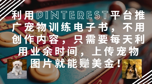 利用Pinterest平台推广宠物训练电子书，不用创作内容，只需要每天利用业余时间，上传宠物图片就能挣美金! - 冒泡网项目