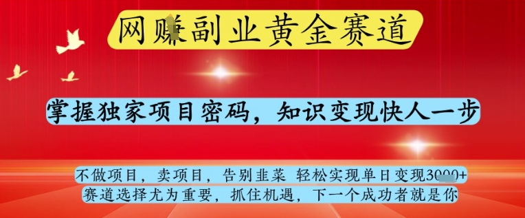 网创副业黄全赛道，掌握独家项目密码，知识变现快人一步，告别韭菜轻松实现单日变现1k+ - 冒泡网项目
