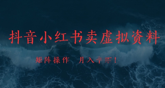 抖音小红书卖虚拟资料，市场需求一直存在，矩阵操作，月入1w+ - 冒泡网项目