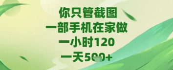 你只管截图，一部手机在家做，苹果安卓都可以，一天5张+ - 冒泡网项目