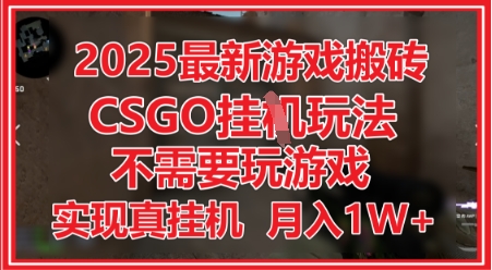 2025最新游戏搬砖，CSGO挂G，不需要玩游戏，实现真挂G，月入1W+ - 冒泡网项目