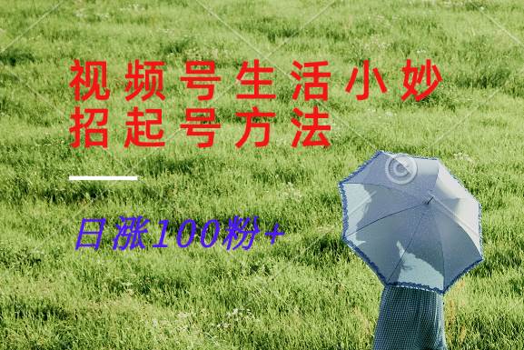 视频号生活小妙招分享赛道， 起号涨粉新方法，日涨100粉 - 福缘网项目