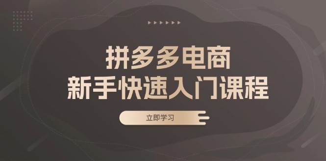 拼多多电商新手快速入门课程：涵盖基础、实战与选款，助力小白轻松上手 - 福缘网项目