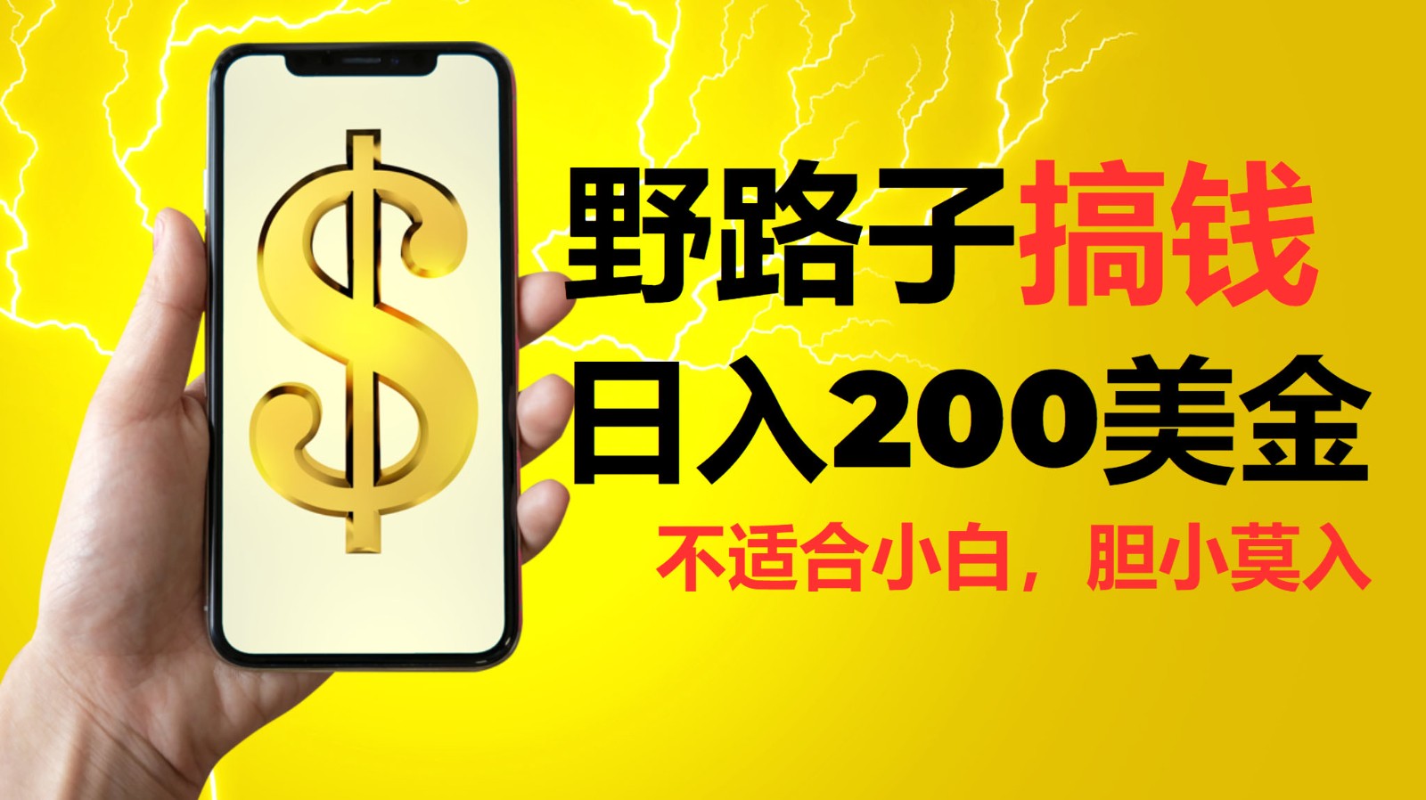 挂机野路子搞钱，日入200美金，路子很野，小白莫入 - 福缘网项目