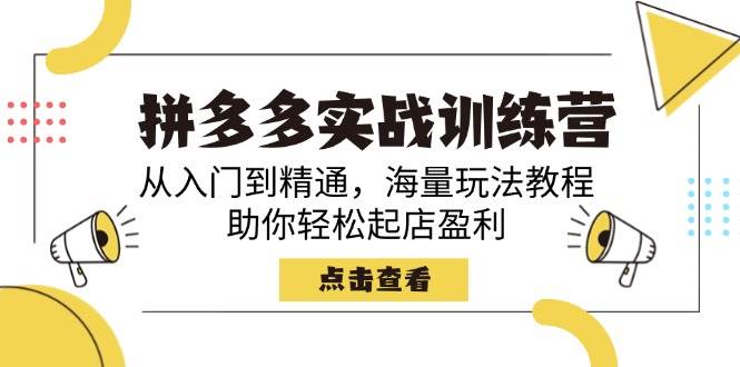 拼多多实战训练营，从入门到精通，海量玩法教程，助你轻松起店盈利 - 福缘网项目