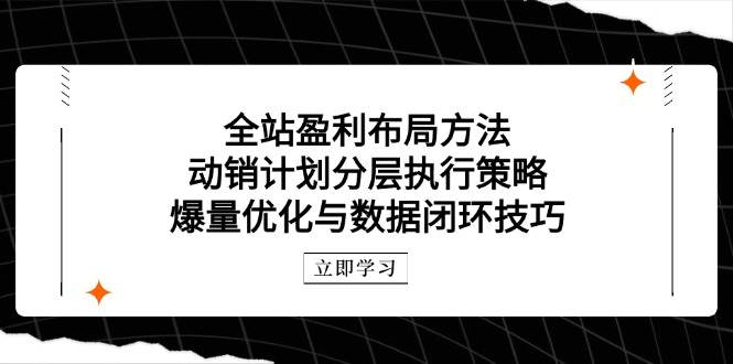 全站盈利布局方法：动销计划分层执行策略，爆量优化与数据闭环技巧 - 福缘网项目