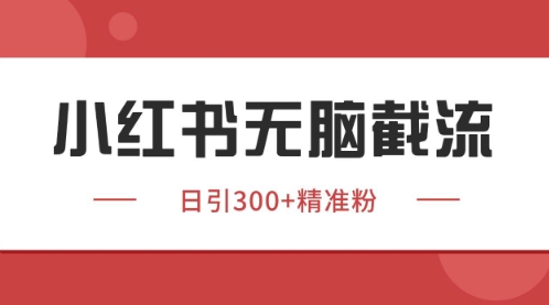 小红书只要你有同行就能获客，独家野路子获客玩法，暴力截流 - 冒泡网项目