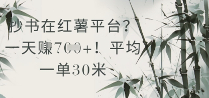 抄书在小红薯平台？平均一单30米，一天收益几张！ - 冒泡网项目