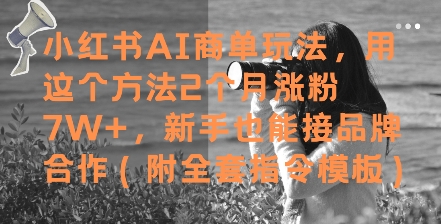 小红书AI商单玩法，用这个方法2个月涨粉7W+，新手也能接品牌合作(附全套指令模板) - 冒泡网项目