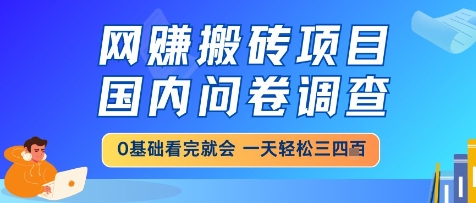 网创搬砖项目，国内问卷调查，小白轻松上手，一天三四张的也不难，干就完了 - 冒泡网项目