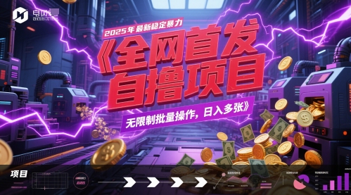 全网首发，2025年最新稳定暴力全自动自撸项目，无限制批量操作，日入多张 - 冒泡网项目