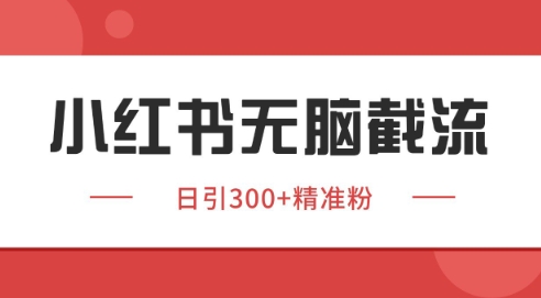 小红书截流同行客源，独家野路子获客玩法 日引200+暴力获客 - 冒泡网项目