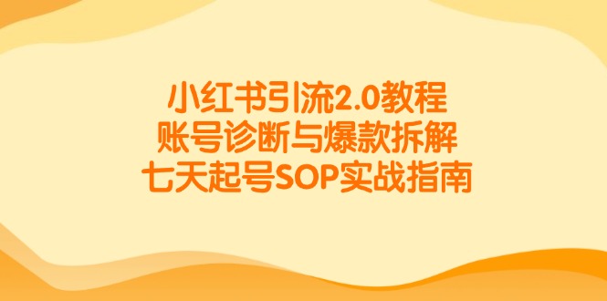 小红书引流2.0教程，账号诊断与爆款拆解，七天起号SOP实战指南 - 中创网项目