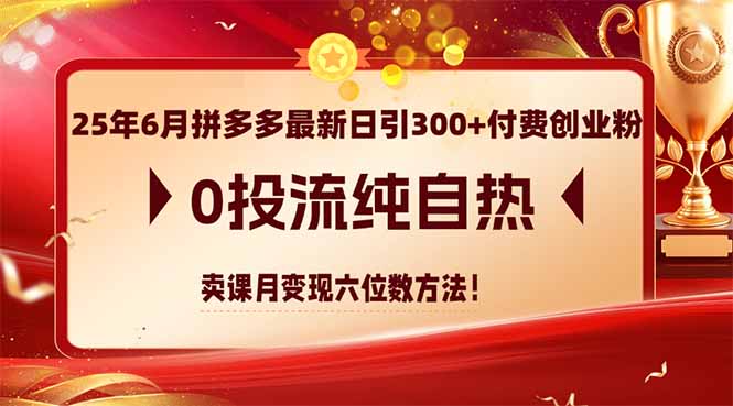 25年6月拼多多最新日引300+付费创业粉，0投流纯自热 卖课月变现六位数方法 - 中创网项目