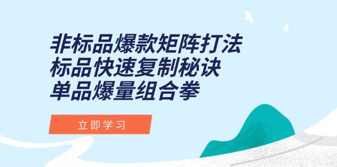 非标品爆款矩阵打法，标品快速复制秘诀，单品爆量组合拳 - 中创网项目