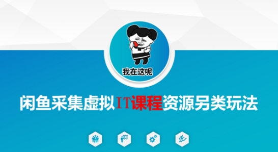 闲鱼采集虚拟IT课程资源另类玩法，干货满满 - 冒泡网项目