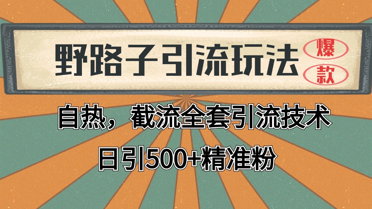 2024首发野路子引流玩法截流自热全平台打法，全自动引流【日引2000+精准客户】 - 福缘网项目