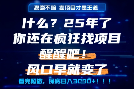 什么？25年你还在疯狂找项目做，醒醒吧，看完这些你全都懂了！ - 冒泡网项目